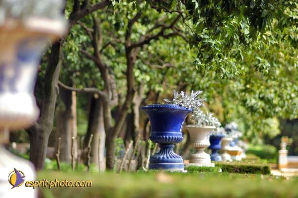 Nom de l'image : D1219696-1 — Description :  Pâques 2005 à Seville (Espagne-Andalusie)