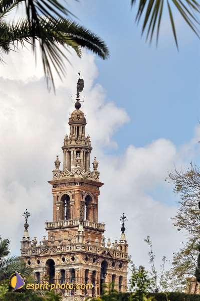 Nom de l'image : D1219744-1 — Description :  Pâques 2005 à Seville (Espagne-Andalusie)