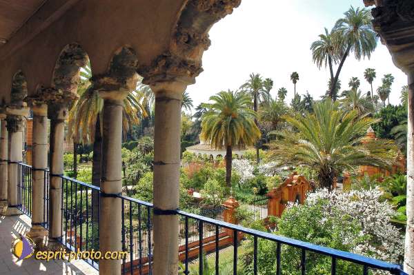 Nom de l'image : D1219850-1 — Description :  Pâques 2005 à Seville (Espagne-Andalusie)