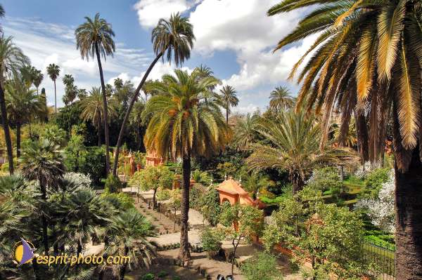 Nom de l'image : D1219862-1 — Description :  Pâques 2005 à Seville (Espagne-Andalusie)