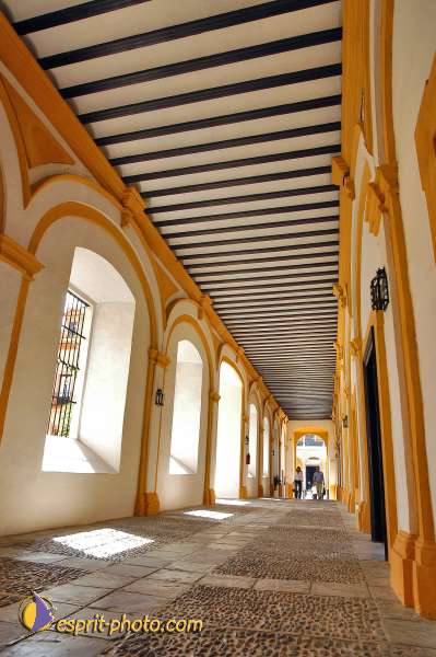 Nom de l'image : D1219913-1 — Description :  Pâques 2005 à Seville (Espagne-Andalusie)