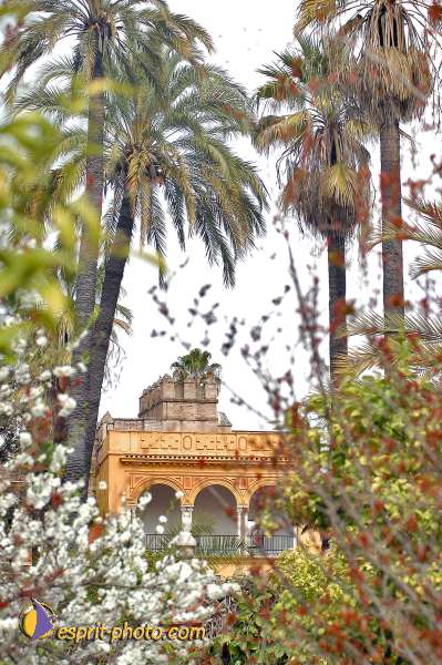Nom de l'image : E00035064-1 — Description :  Pâques 2005 à Seville (Espagne-Andalusie)