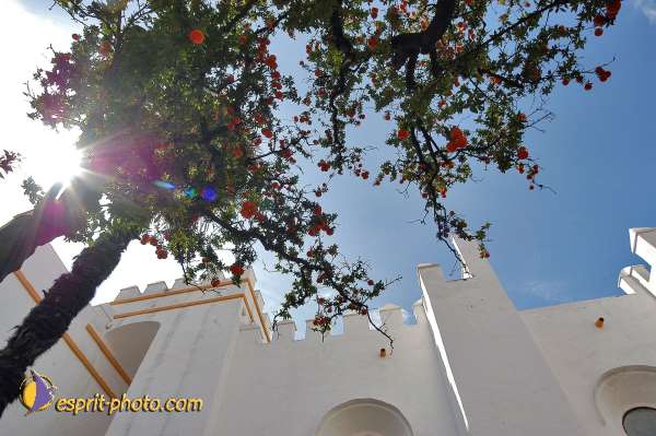Nom de l'image : E00035144-1 — Description :  Pâques 2005 à Seville (Espagne-Andalusie)
