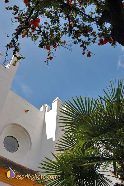 Nom de l'image : E00035146-1 — Description :  Pâques 2005 à Seville (Espagne-Andalusie)