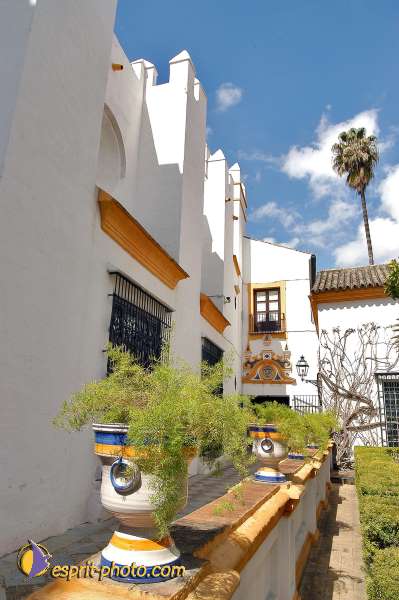 Nom de l'image : E00035160-1 — Description :  Pâques 2005 à Seville (Espagne-Andalusie)