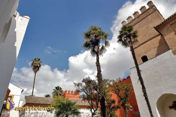 Nom de l'image : E00035163-1 — Description :  Pâques 2005 à Seville (Espagne-Andalusie)