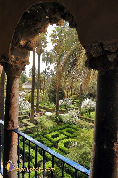 Nom de l'image : E00035164-1 — Description :  Pâques 2005 à Seville (Espagne-Andalusie)
