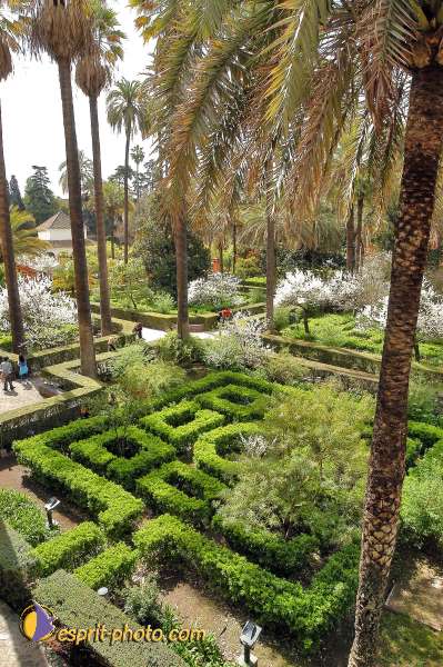 Nom de l'image : E00035166-1 — Description :  Pâques 2005 à Seville (Espagne-Andalusie)