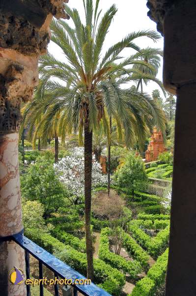 Nom de l'image : E00035173-1 — Description :  Pâques 2005 à Seville (Espagne-Andalusie)
