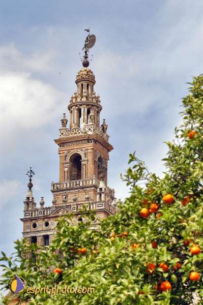 Nom de l'image : D1220083-1 — Description :  Pâques 2005 à Seville (Espagne-Andalusie)