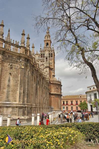 Nom de l'image : E00032565-1 — Description :  Pâques 2005 à Seville (Espagne-Andalusie)