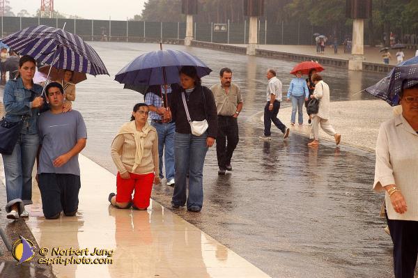 Nom de l'image : D1160431-01 — Description :