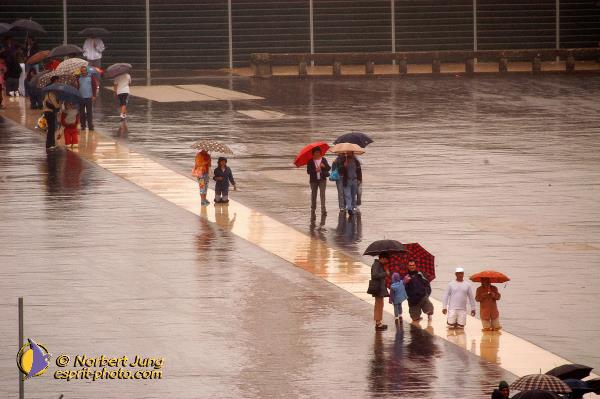 Nom de l'image : D1160459-01 — Description :