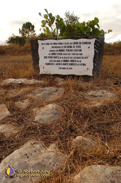 Nom de l'image : D1160740-01 — Description :