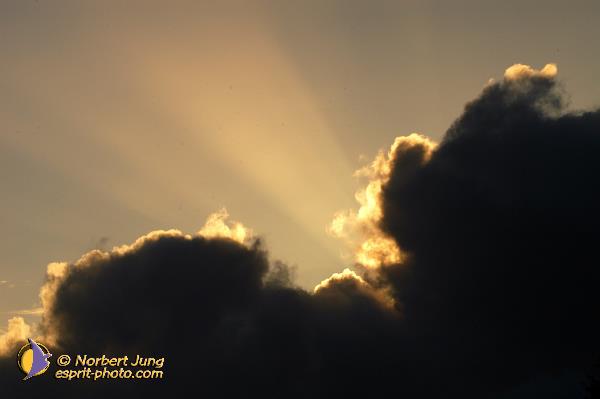 Nom de l'image : D1160762-01 — Description :