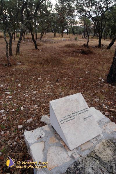 Nom de l'image : D1160808-01 — Description :