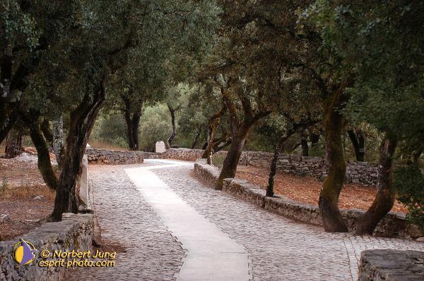 Nom de l'image : D1160811-01 — Description :