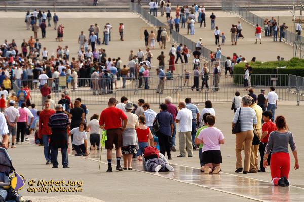 Nom de l'image : D1161339-01 — Description :