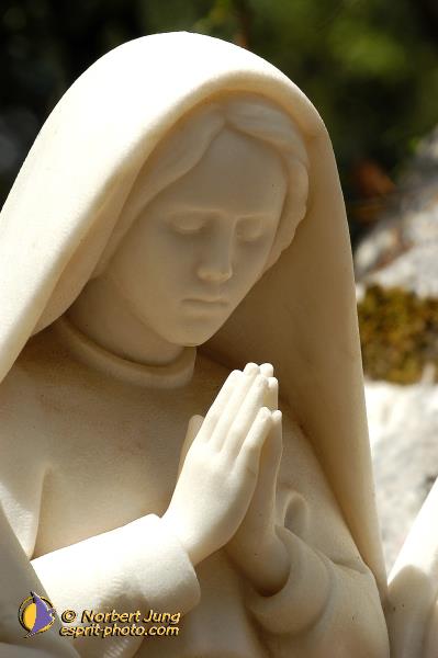 Nom de l'image : D1161647-01 — Description :