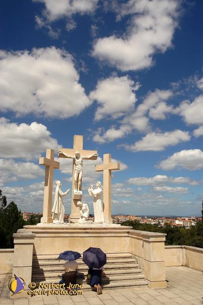 Nom de l'image : D1161722-01 — Description :