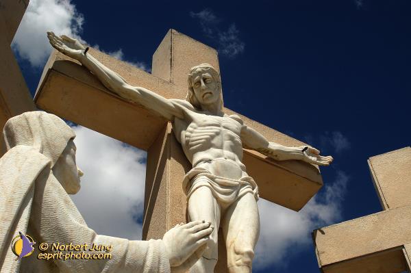 Nom de l'image : D1161783-01 — Description :