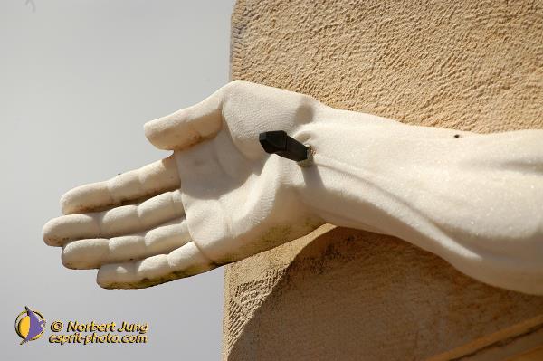 Nom de l'image : D1161796-01 — Description :