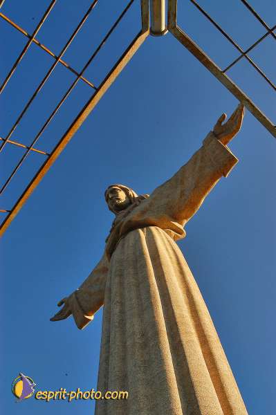 Nom de l'image : D1206316-1 — Description :