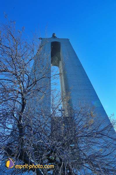 Nom de l'image : D1206336-1 — Description :