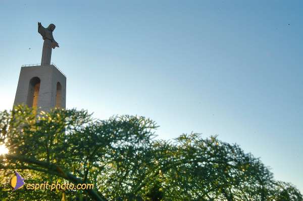 Nom de l'image : D1206385-1 — Description :