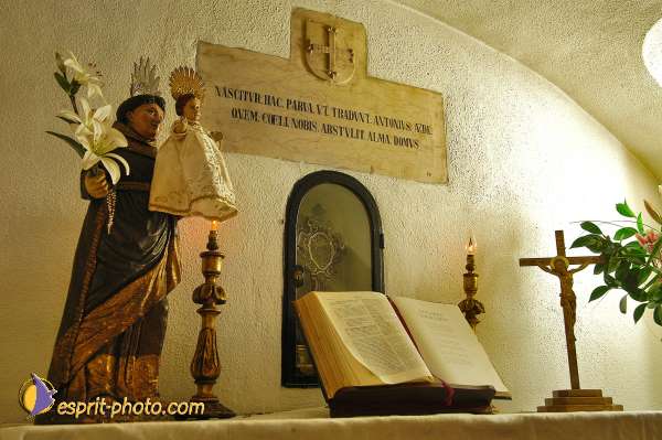 Nom de l'image : D1206059-1 — Description :