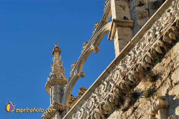 Nom de l'image : D1206183-1 — Description :