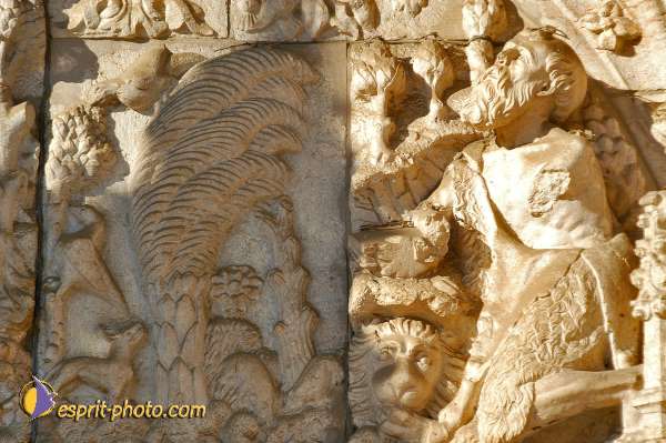 Nom de l'image : D1206197-1 — Description :