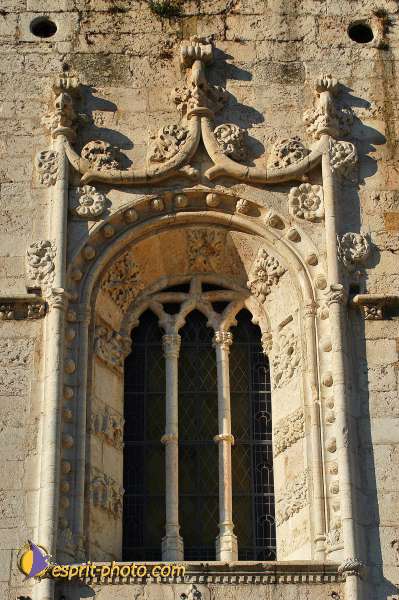 Nom de l'image : D1206213-1 — Description :