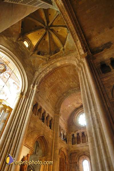 Nom de l'image : D1205908-1 — Description :