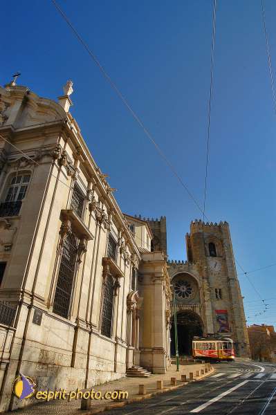 Nom de l'image : D1205980-1 — Description :