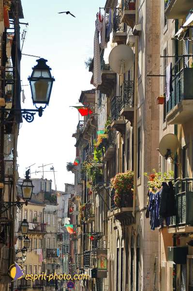 Nom de l'image : D1205101-1 — Description :  Mothersprayer - Portugal - construction of a new center