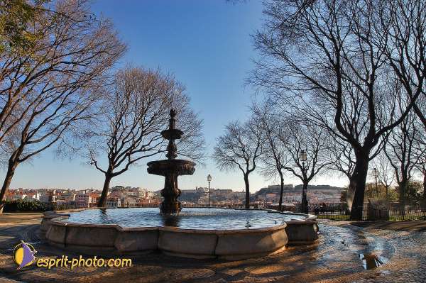 Nom de l'image : D1205882-1 — Description :