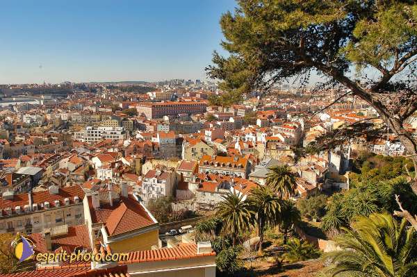 Nom de l'image : D1206078-1 — Description :