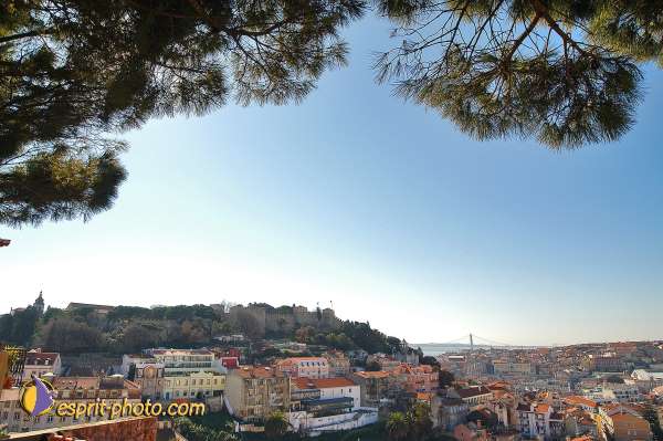 Nom de l'image : D1206094-1 — Description :