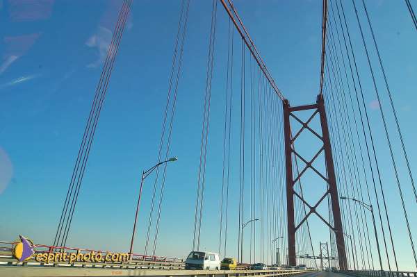 Nom de l'image : D1206239-1 — Description :