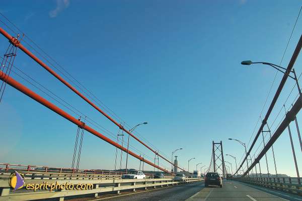 Nom de l'image : D1206246-1 — Description :