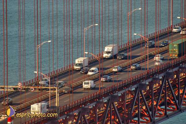 Nom de l'image : D1206288-1 — Description :