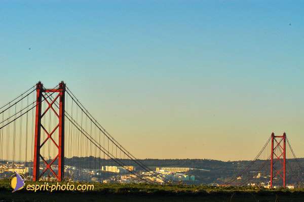 Nom de l'image : D1206416-1 — Description :