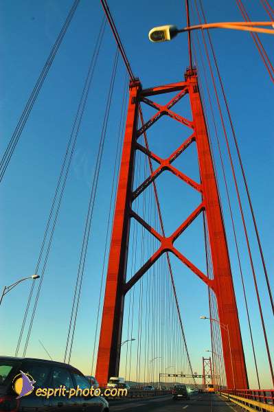 Nom de l'image : D1206426-1 — Description :