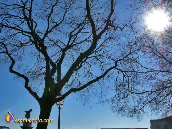 Nom de l'image : L1030949-1 — Description :  Mothersprayer - Portugal - construction of a new center