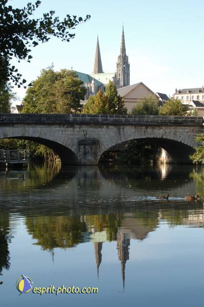 Nom de l'image : D1066799-nef — Description :