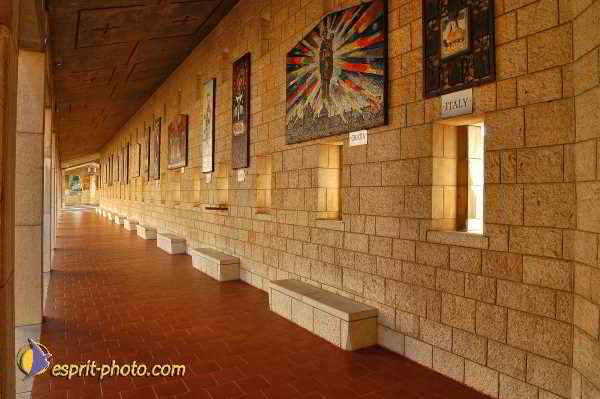 Nom de l'image : D1197463-1 — Description :  Voyage en Terre Sainte avec Jeunesse Lumière