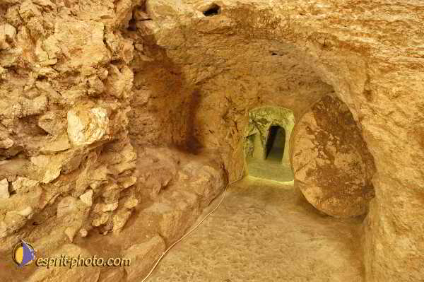 Nom de l'image : D1197826-1 — Description :  Voyage en Terre Sainte avec Jeunesse Lumière
