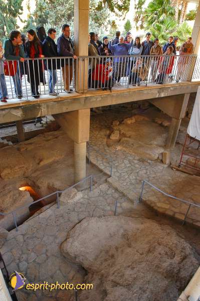 Nom de l'image : D1197668-1 — Description :  Voyage en Terre Sainte avec Jeunesse Lumière