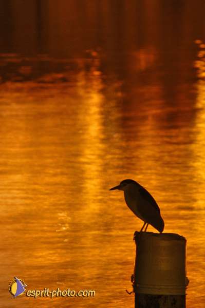 Nom de l'image : D1198096-1 — Description :  Voyage en Terre Sainte avec Jeunesse Lumière